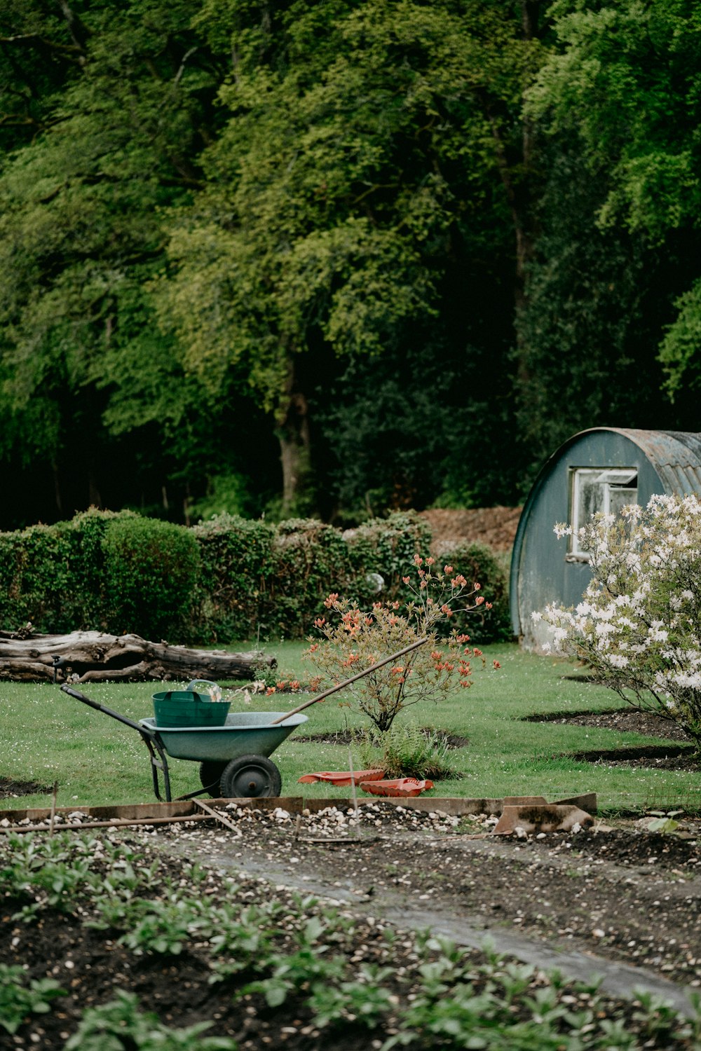 A wheelbarrow beside a garden shed