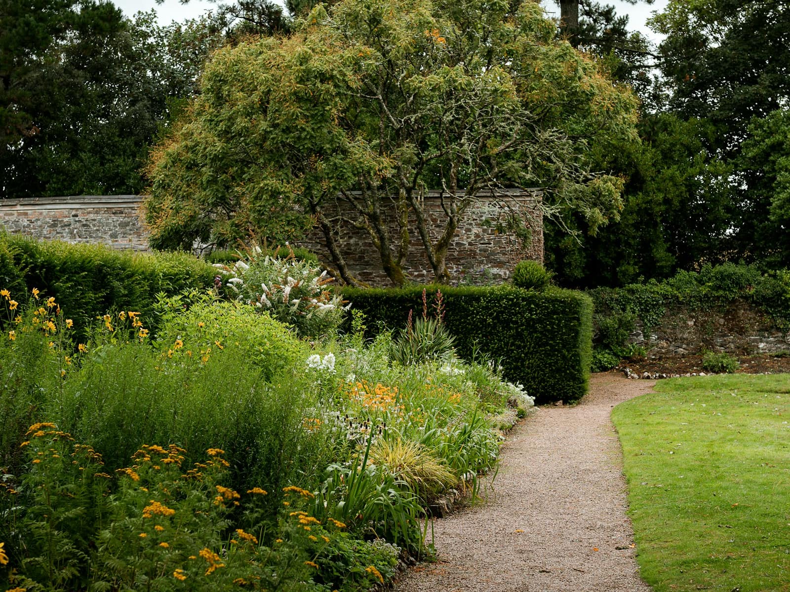 A path through a garden full of flowers
