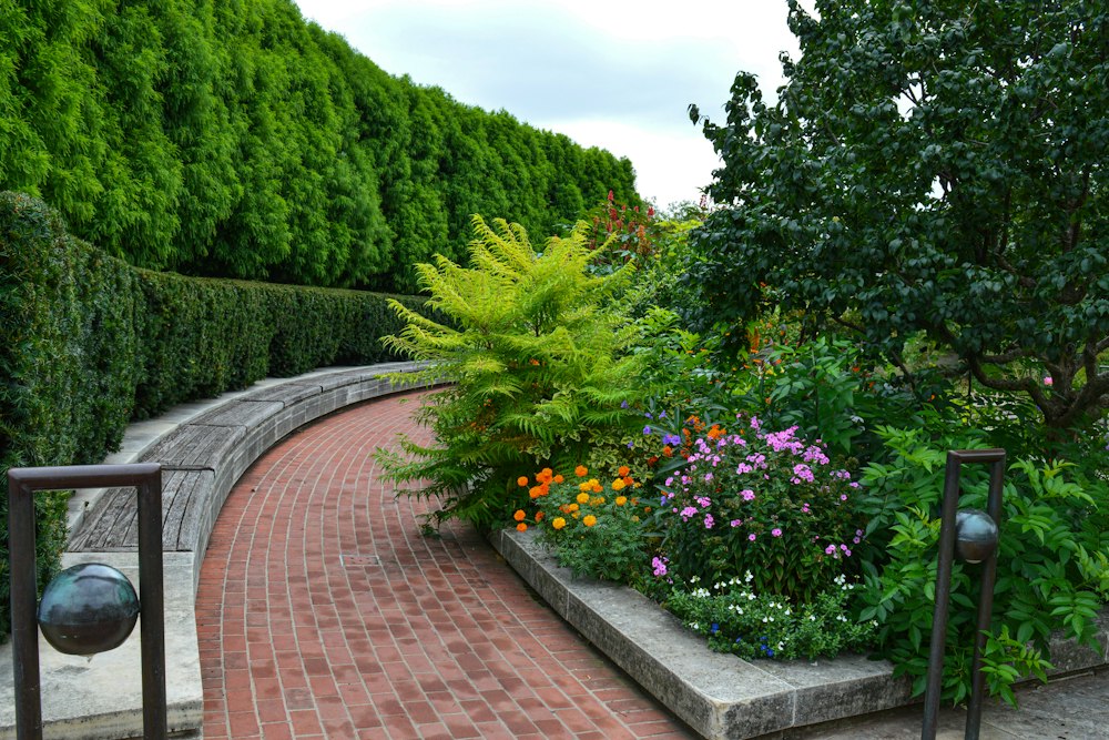 A brick path through a planted garden